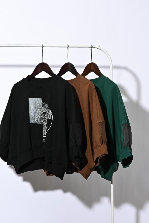 アシメショートC/S(PT)　24173-1434E